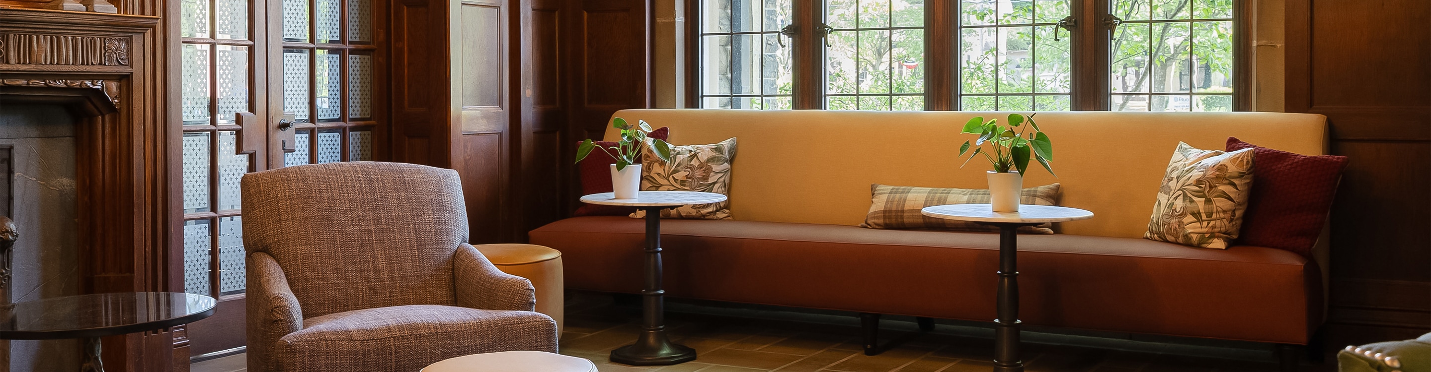 a couch with pillows and a plant on it