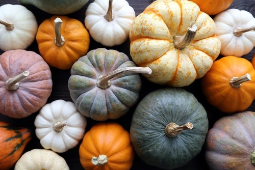 Halloween Catering