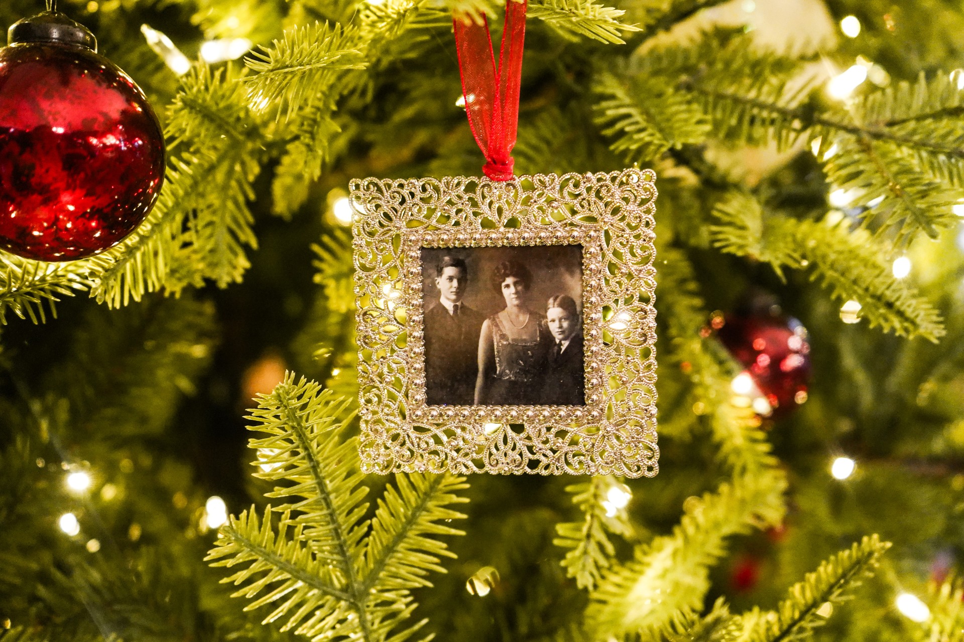 a picture of a family on a christmas tree