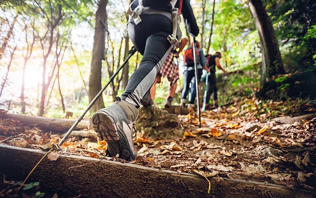 a group of people hiking in the woods