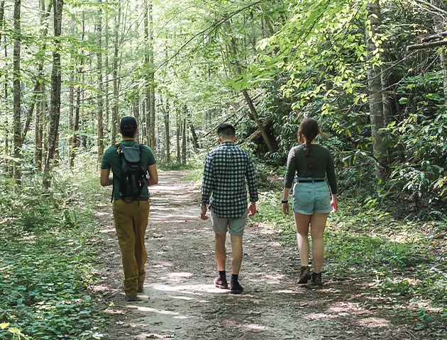 a group of people walking on a path in the woods