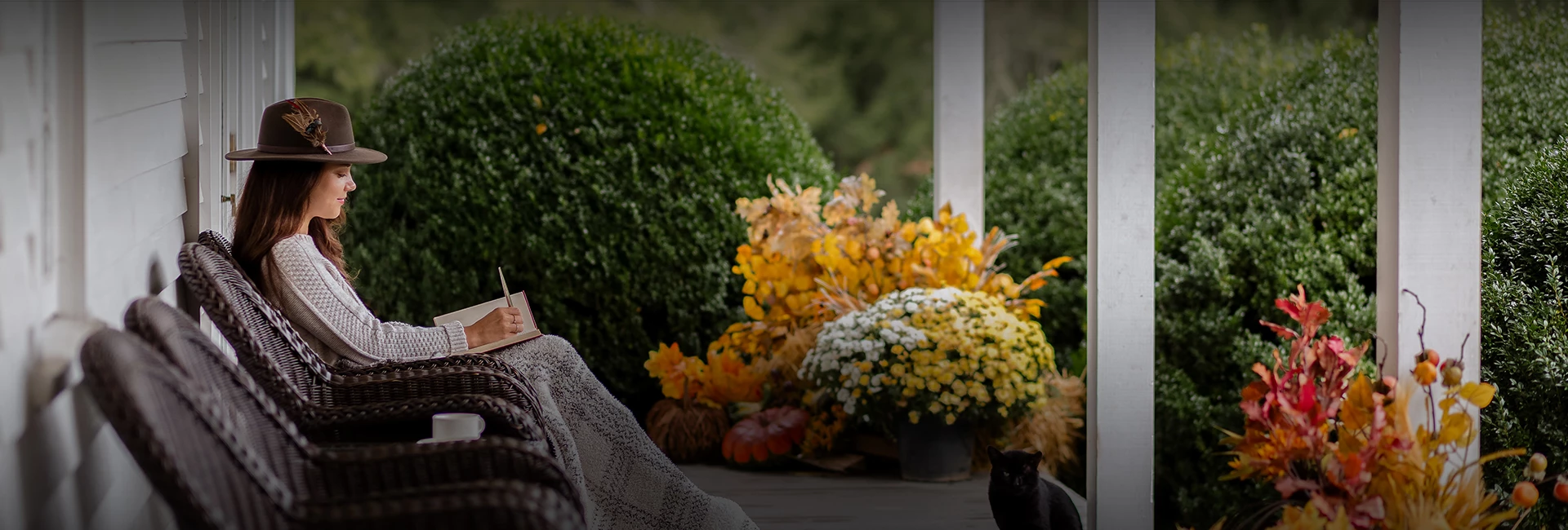 a cat sitting on a chair next to flowers