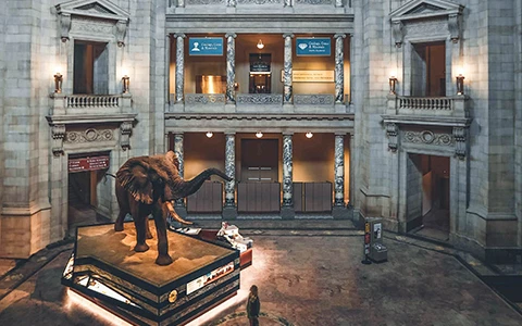 smith sonian museum of natural history