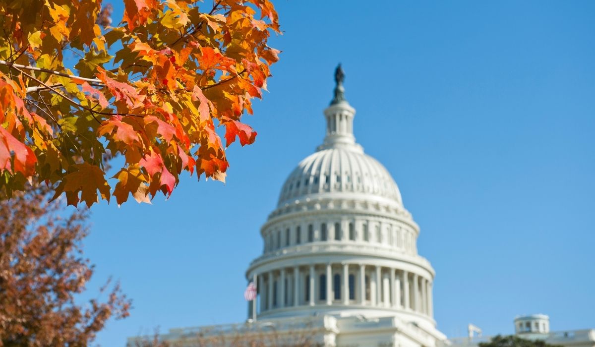a tree with orange leaves in front of a white building with United States Capitol in the background