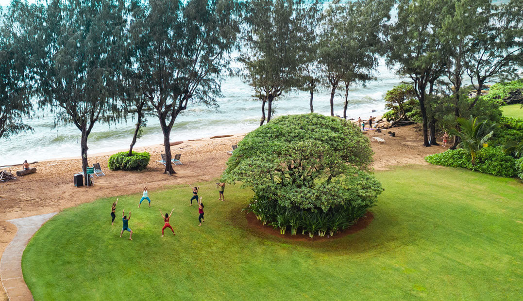 aerial view of a group of people performing yoga on coastline 