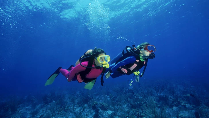 view of divers