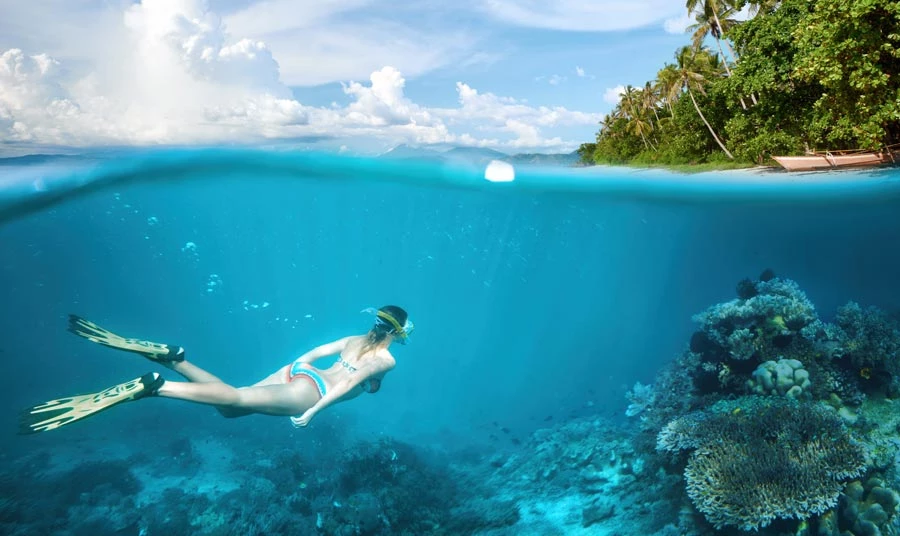 Things to Do in Hawaii This Winter