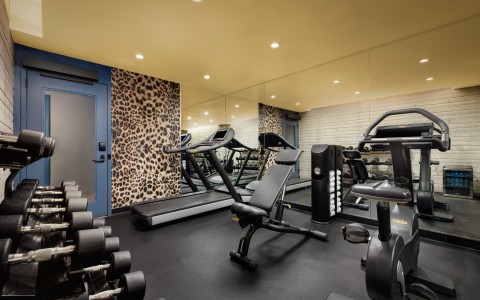 a gym with exercise equipment