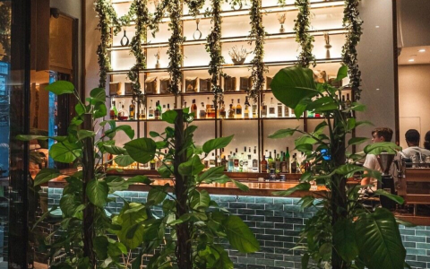 a bar with plants and bottles on shelves