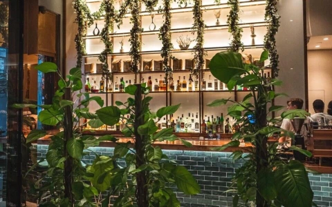 a bar with plants and bottles on shelves