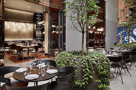 A restaurant dining area with tables and chairs, a plant, and windows.