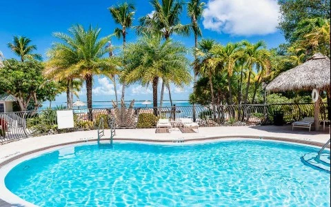 a pool with chairs and umbrellas by a beach