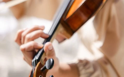Closeup shot of a woman playing a violin. 