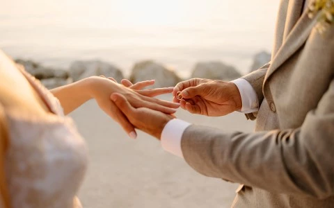 a group of people shaking hands