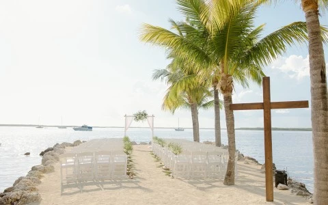 a beach with palm trees and a body of water