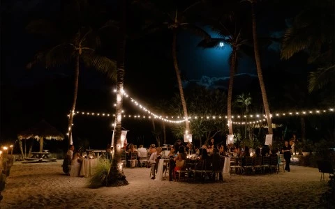 a group of people sitting at a table under palm trees at night