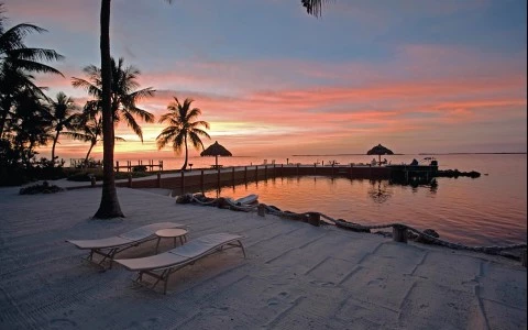 a beach with palm trees and a body of water