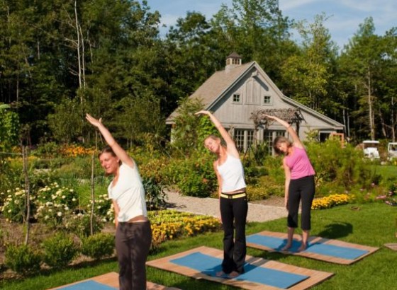 a group of women doing yoga outside