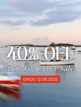 a advertisement for a holiday cyber sale