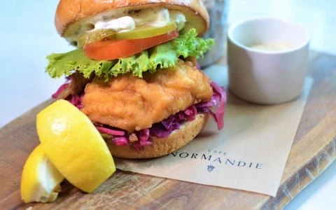 Chicken burger with dip and two side lemons18