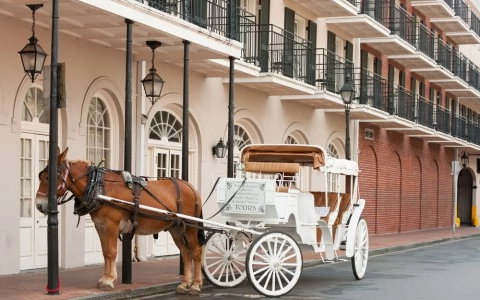 horse and buggy in new orleans