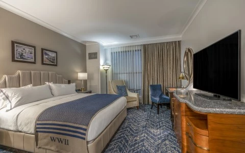 a bedroom with a bed and a television