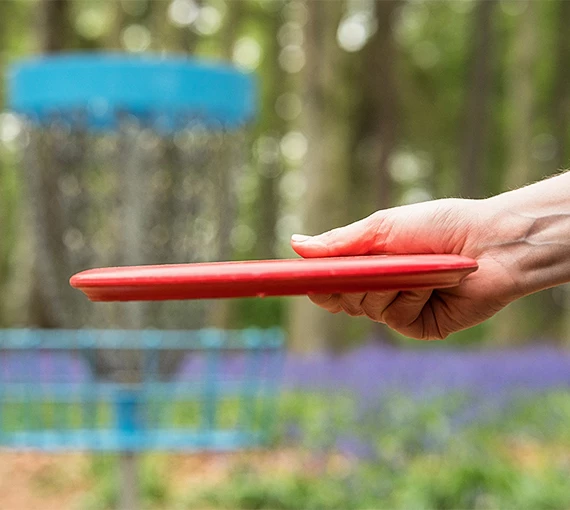 Disc Golf