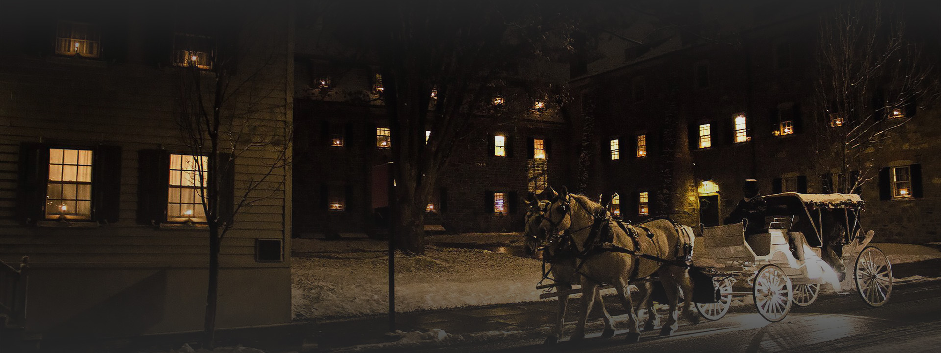 a horse drawn carriage in the snow