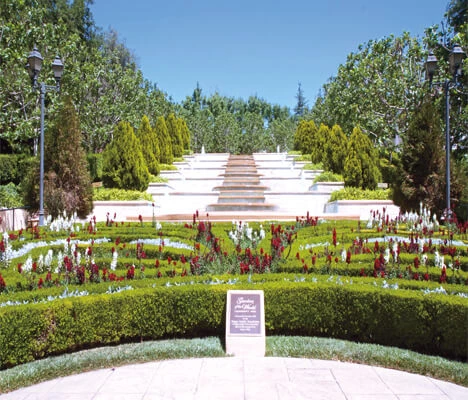 a large garden with flowers