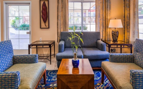 comfortable hotel lobby with natural lighting