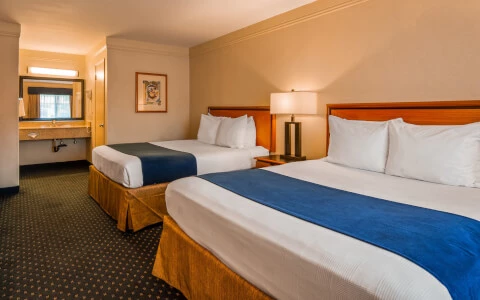 hotel room with double beds