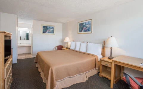 hotel room with king size bedding