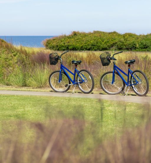 two blue bicycles parked on a path next to a body of water