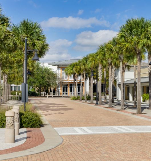 a brick walkway with palm trees