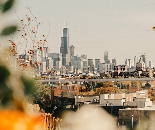 a city skyline with trees and plants