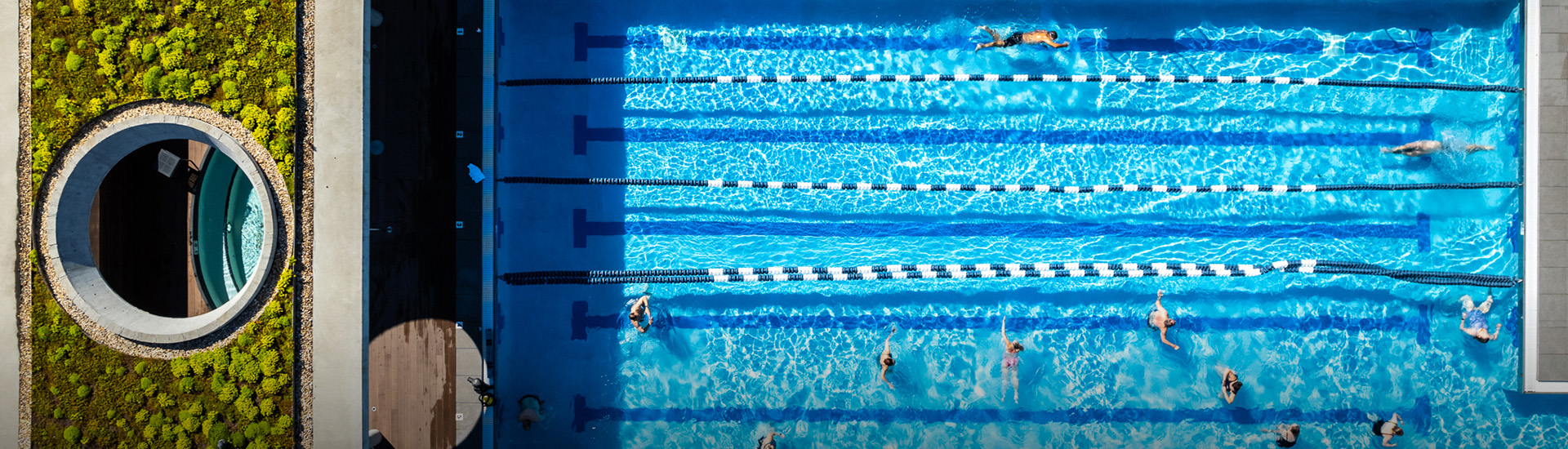 people swimming lanes in a pool
