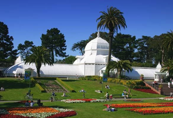 Golden gate park 