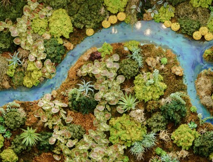 a small river running through a small forest