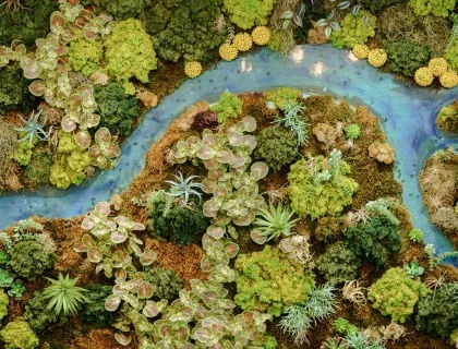 a small river running through a small forest