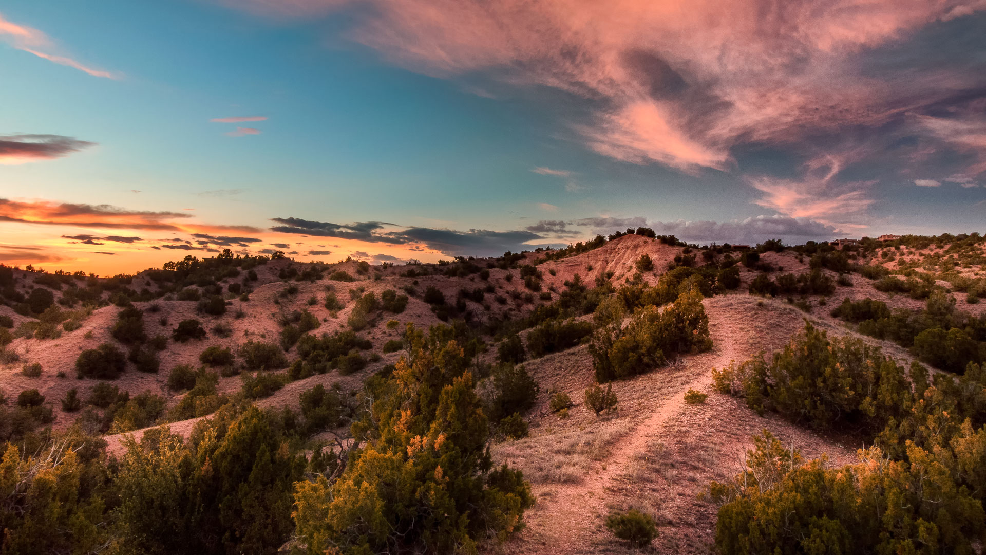 a dirt road in a desert