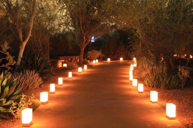 a pathway lined with lit lanterns and surrounded by trees and plants at nighttime