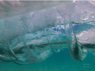 a close-up of an iceberg