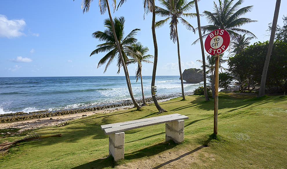 a bench on a beach with palm trees and a sign