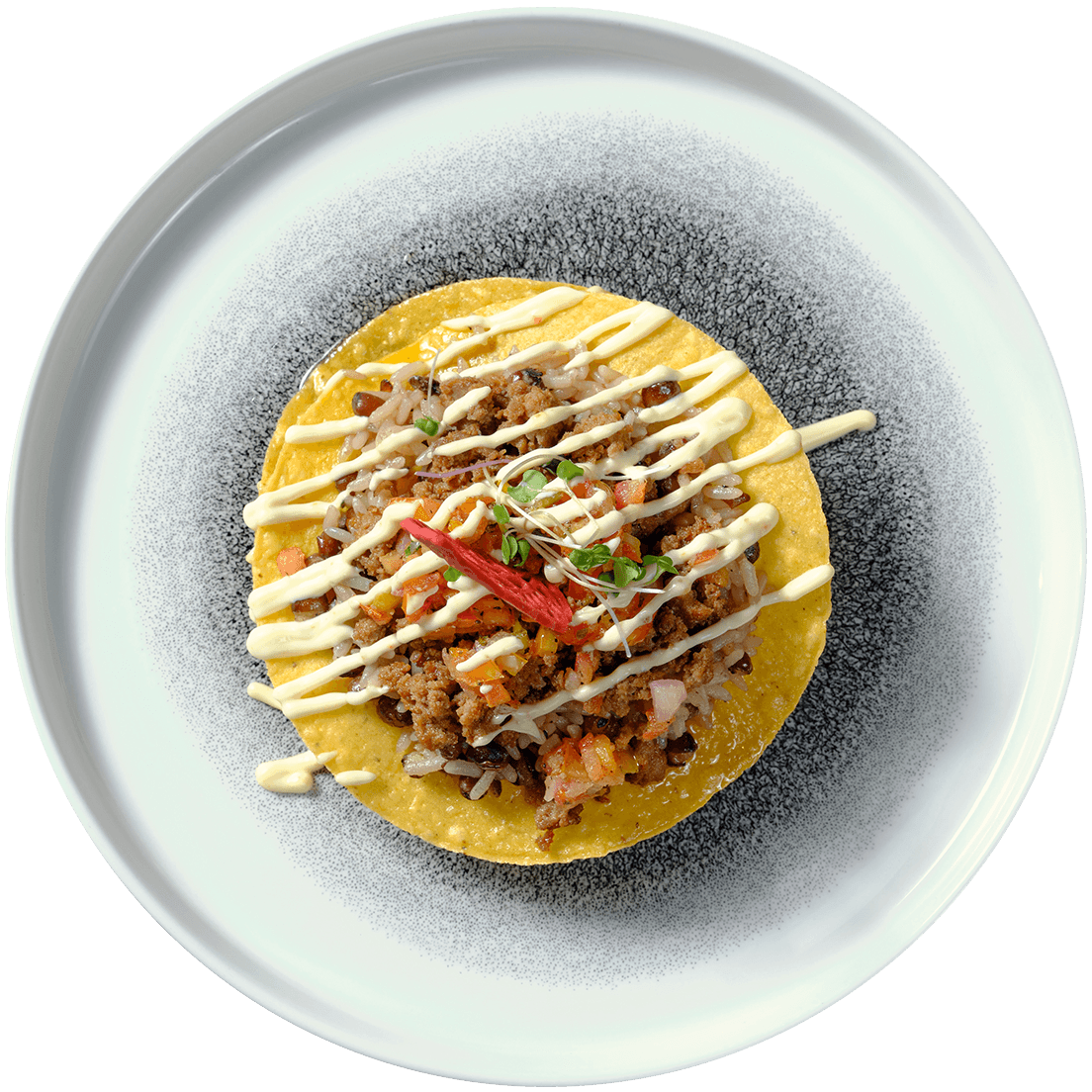 a taco on a plate