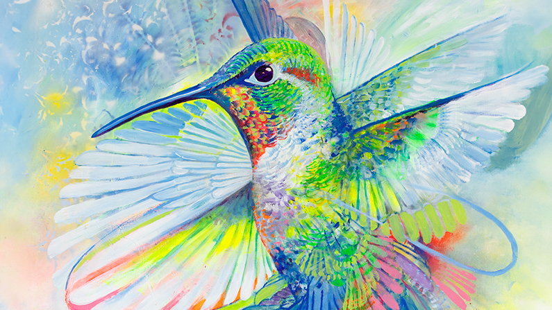 a colorful bird with wings spread