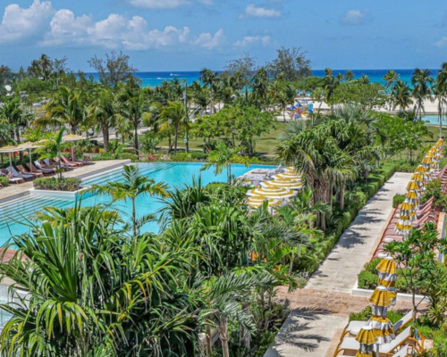 a pool surrounded by palm trees