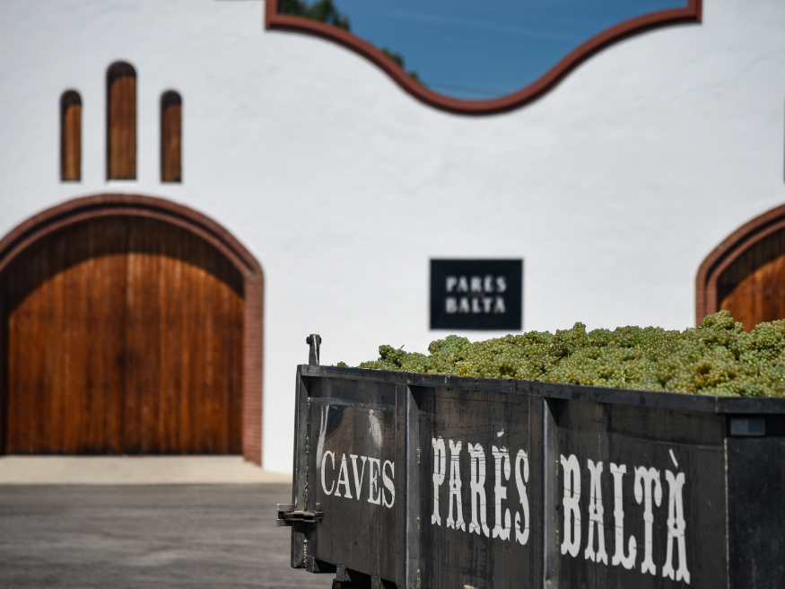 a black truck with grapes in front of a white building