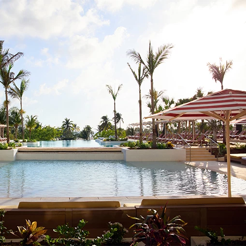 a pool with umbrellas and palm trees