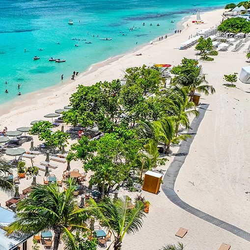 a beach with palm trees and people on it