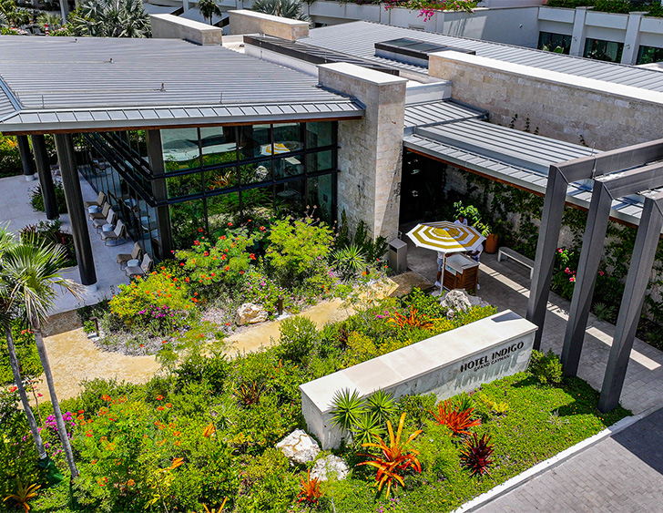 a building with a garden and a patio
